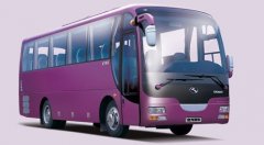 大巴客車(chē) （26-55）座